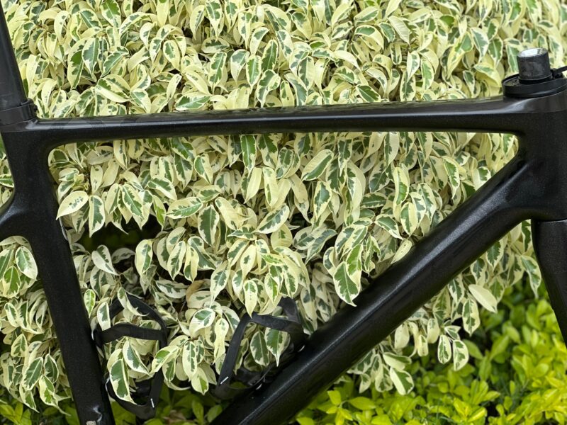 Marco Scott Adict Rc Original