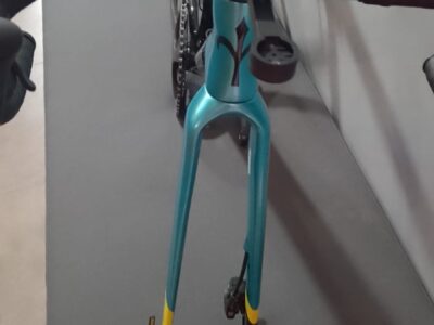 Willier triestina + Campagnolo super record