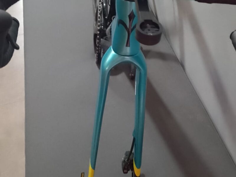 Willier triestina + Campagnolo super record