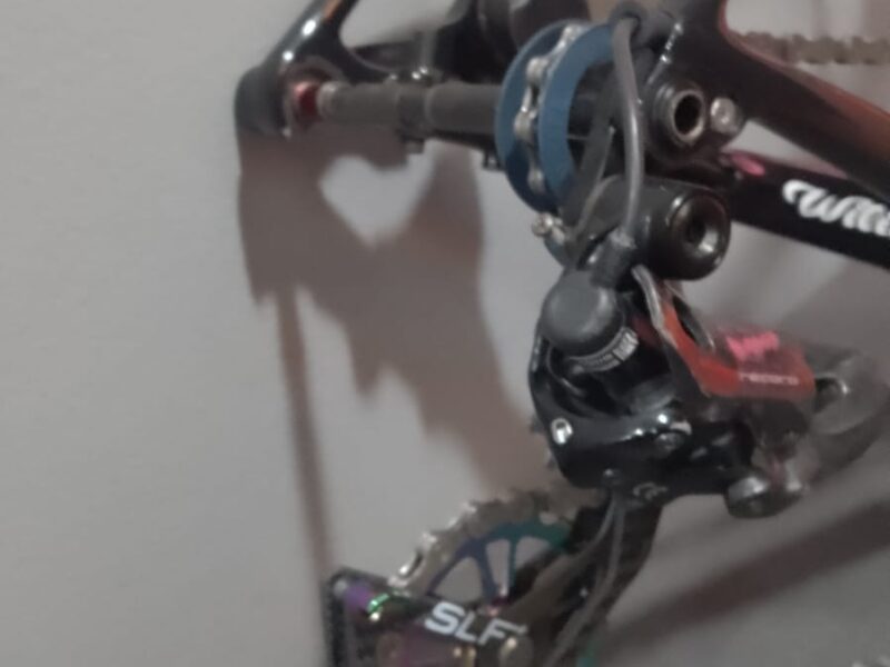 Willier triestina + Campagnolo super record