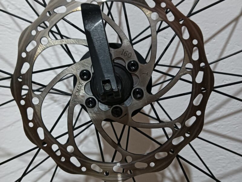 Rines Specialized Ruta