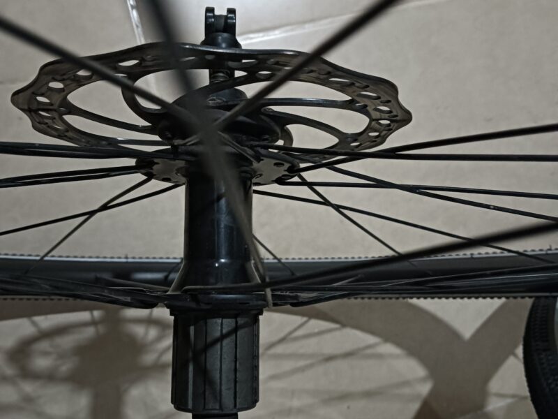 Rines Specialized Ruta