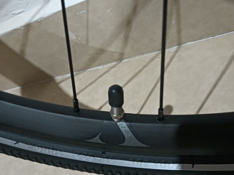 Rines Specialized Ruta