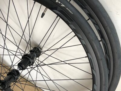 Rines Fullcrum Racing Disc