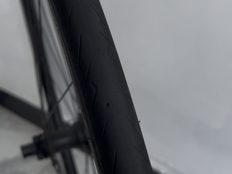 Rines Bontrager Paradigm Conp